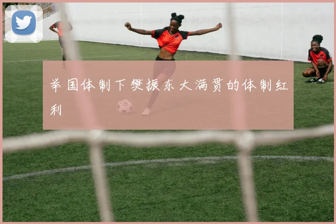 举国体制下樊振东大满贯的体制红利